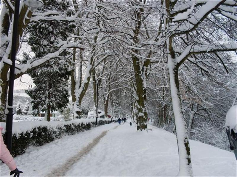 Hall Leas Park